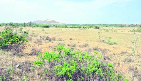 బంగారం వంటి భూములు.. బీడుగా వదిలేశారు! 