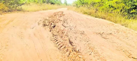 పట్టింపేది?