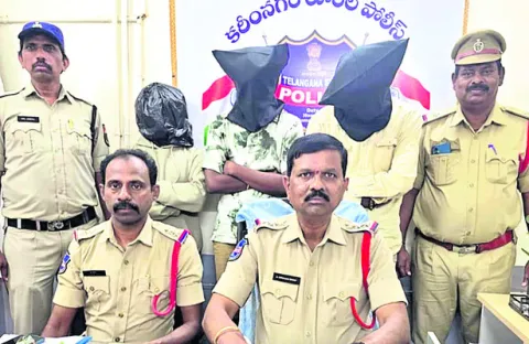 గంజాయి విక్రేతల అరెస్టు 