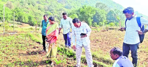 పంట మార్పిడి విధానంతో ప్రయోజనాలు