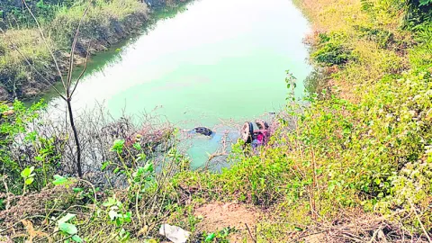 ట్రాక్టర్‌ బోల్తా 
