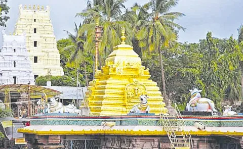 Makara Sankranti Brahmotsavams from January 12 in Srisailam