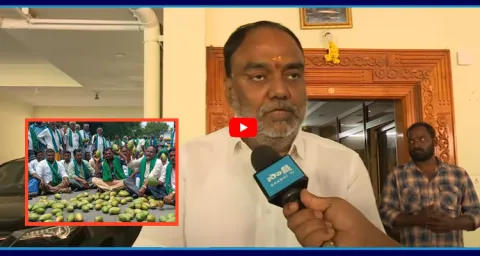 YSRCP Vijayananda Reddy Fire On Chandrababu Govt Over AP Mango Farmers 2