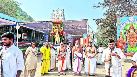 హంస వాహనంపై శ్రీనివాసుడు 