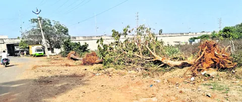పంచాయతీ అధికారుల అత్యుత్సాహం 