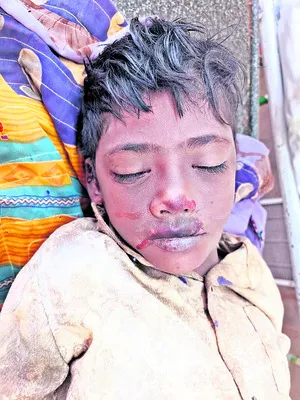 రేగు పండ్ల కోసం వెళ్లి... 