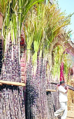 ఎమ్మెల్యే చాటింగ్‌ రచ్చ 