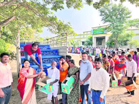 పెరటి కోళ్ల పెంపకం..