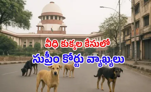 Supreme Court Cats reference At Dogs Petition Details Here14
