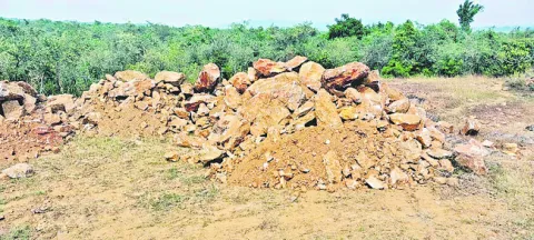 పచ్చని దోపిడీ ! 