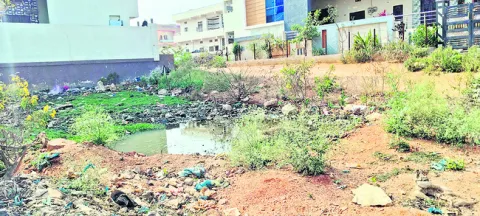 ఎనిమిది వార్డుల్లోనే డ్రెయినేజీలు
