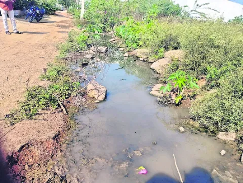 మురుగుమయం.. దోమలకు నిలయం
