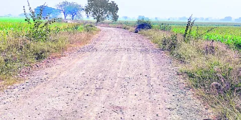 ‘దారి’తప్పిన తమ్ముళ్లు! 