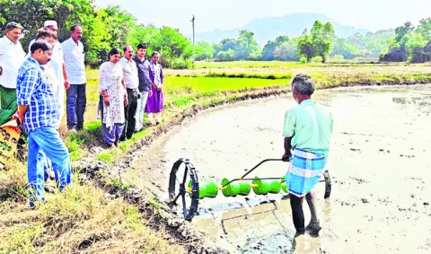 సేంద్రియ వ్యవసాయంతో బహుళ ప్రయోజనాలు 