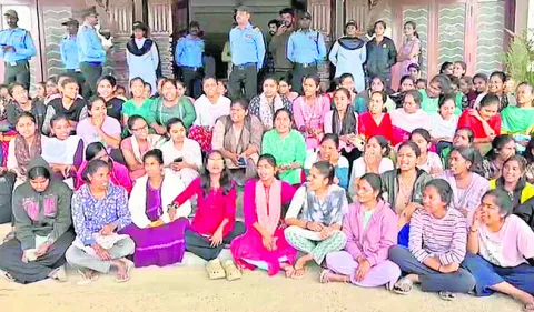 నాణ్యమైన భోజనం అందించండి..