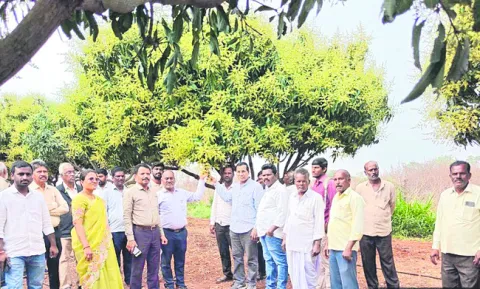 పూసింది పూత.. నిలబడేనా కాత!