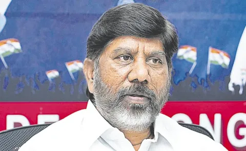 Deputy CM Bhatti suggestion to power distribution companies: Telangana