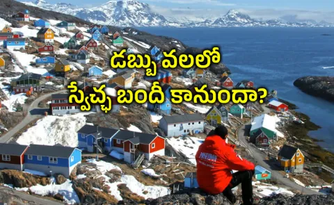 Story on Trump Offers Cash To Greenland People15