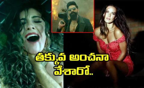 ​Hollywood Actress Natalie Burn In Yash Toxic Movie