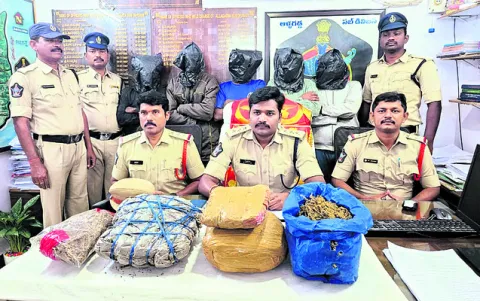 గంజాయి ముఠా అరెస్ట్‌ 
