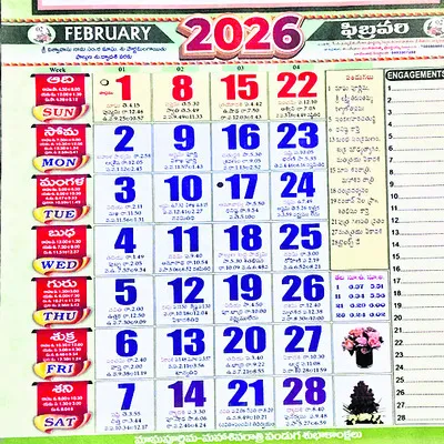 మిరాకిల్‌ ‘ఫిబ్రవరి’ 