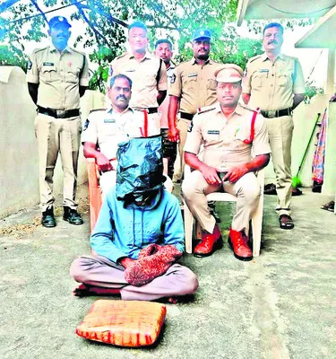 గంజాయి కేసులో కీలక నిందితుడి అరెస్ట్‌ 