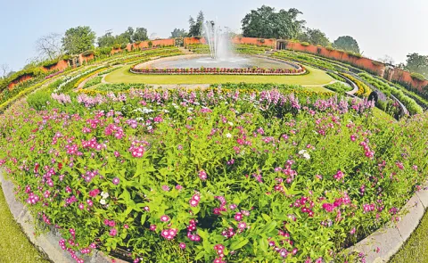 Amrit Udyan will open for public viewing from February 2 to March 30, 2025