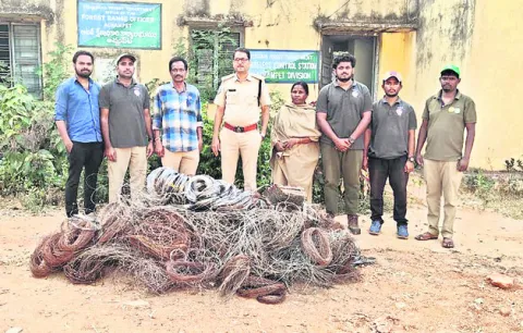 అటవీశాఖ పరిధిలో ఉచ్చుల తొలగింపు 
