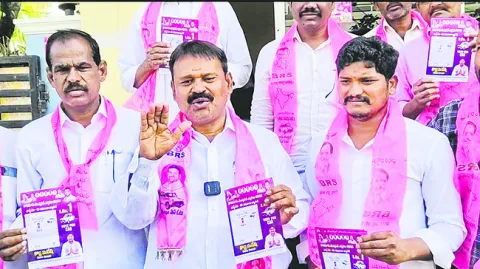 మామా మజాకా
