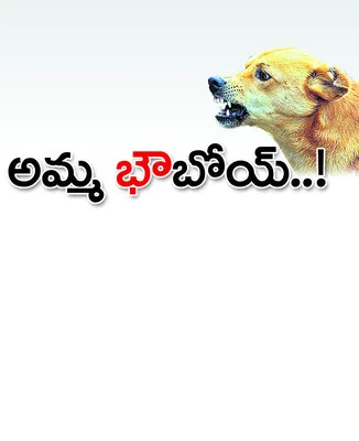 పెరుగ