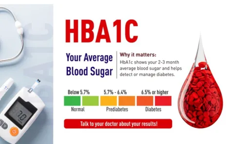 What Is a Hemoglobin A1c Test, How It Detects and Tracks Diabetes
