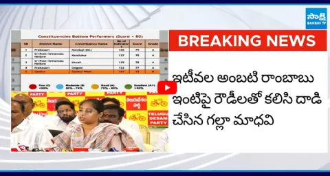 AP Govt Constituency Rankings Released 2