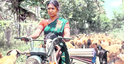 అవార్డుకు నామినేట్‌ అయిన మయిలా