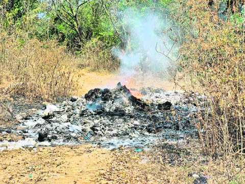 ఇదేంది ‘తంబీ’! 