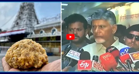 Chandrababu Shocked To Reporter Question On Tirumala Laddu In Delhi  1