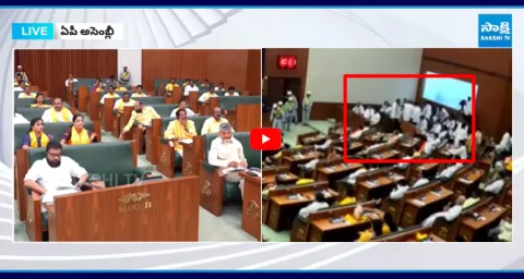 YSRCP Leaders Demand Opposition Status In The Assembly ​ 1