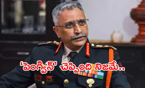General Naravane breaks silence