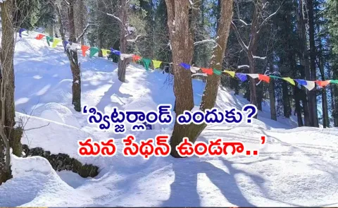 Igloo Village becomes new tourist attraction