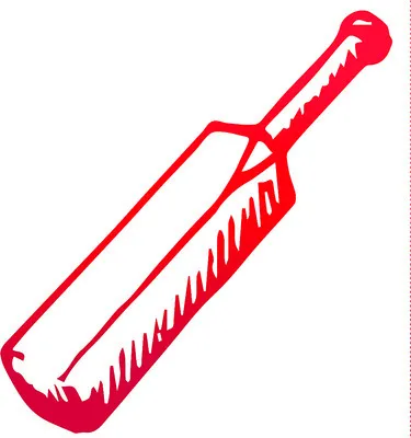 ‘బ్యాట్‌’.. గుండెల్లో పరుగే!