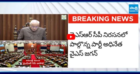 YSRCP Leaders Protest in Assembly  2