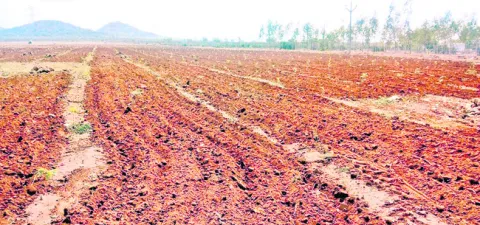 ల్యాండ్‌ టైట్లింగ్‌ ఆదర్శం 