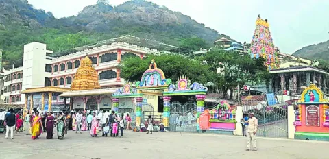 వీఐపీ దర్శన టికెట్లకు విశేష స్పందన 