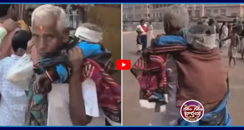 Old Man Great Love On His Wife 1