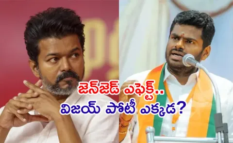 Tamilnadu BJP Annamalai Key Comments On TVK Vijay