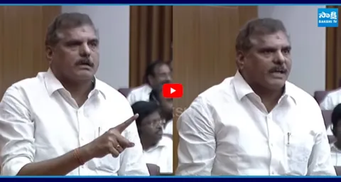 YSRCP Botsa Satyanarayana at AP Legislative Council Session 2