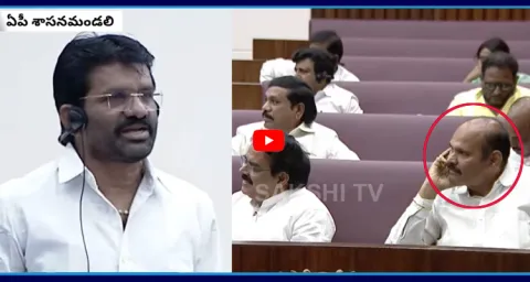 TDP Silents To MLC Parvathareddy Chandrasekhar Reddy Questions In AP Legislative Council 1