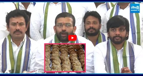 YSRCP Jakkampudi Raja Comments On Chandrababu Over Tirumala Laddu 1
