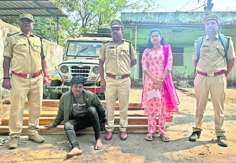 అక్రమంగా తరలిస్తున్న కలప పట్టివేత