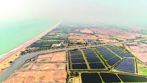 పచ్చనేతల ఆక్రమణలపై చర్యలు తీసుకోండి 