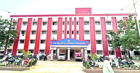 ఎంపీహెచ్‌ఏల ఎంపికలో అవకతవకలు 